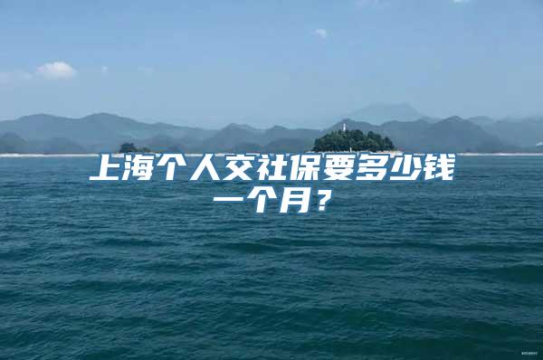 上海个人交社保要多少钱一个月？