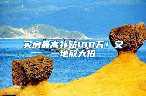 买房最高补贴100万！又一地放大招