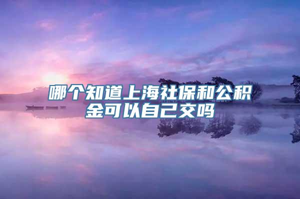 哪个知道上海社保和公积金可以自己交吗