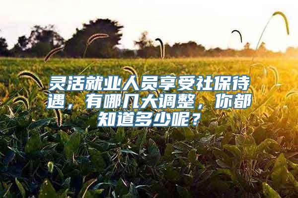 灵活就业人员享受社保待遇，有哪几大调整，你都知道多少呢？