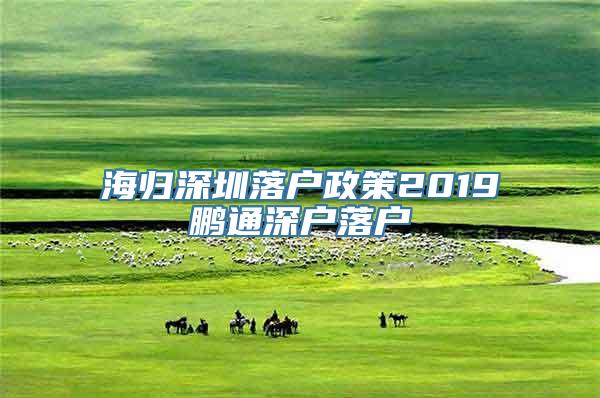 海归深圳落户政策2019鹏通深户落户