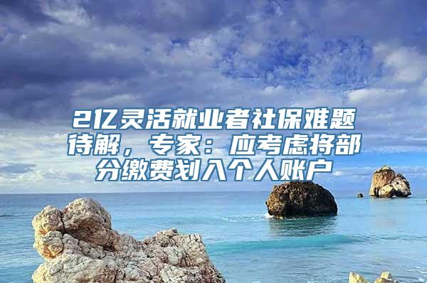 2亿灵活就业者社保难题待解，专家：应考虑将部分缴费划入个人账户