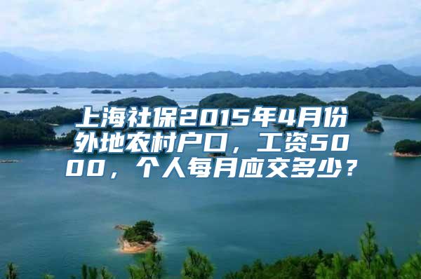 上海社保2015年4月份外地农村户口，工资5000，个人每月应交多少？