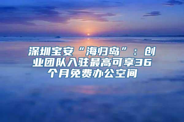 深圳宝安“海归岛”：创业团队入驻最高可享36个月免费办公空间