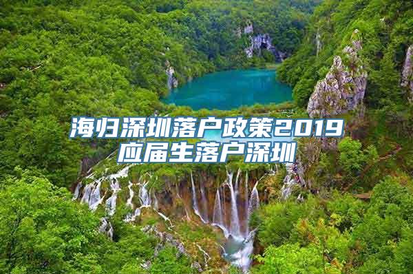 海归深圳落户政策2019应届生落户深圳