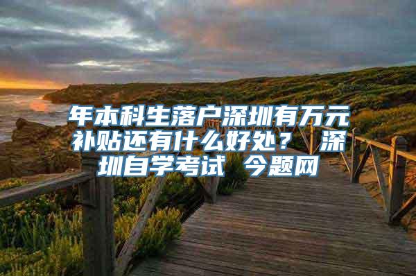 年本科生落户深圳有万元补贴还有什么好处？ 深圳自学考试 今题网