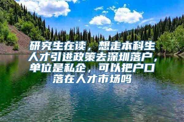 研究生在读，想走本科生人才引进政策去深圳落户，单位是私企，可以把户口落在人才市场吗