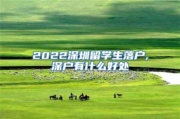 2022深圳留学生落户,深户有什么好处