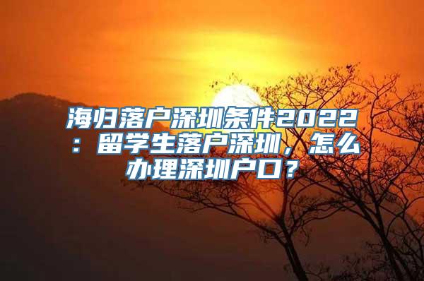 海归落户深圳条件2022：留学生落户深圳，怎么办理深圳户口？