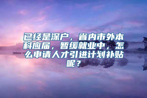 已经是深户，省内市外本科应届，暂缓就业中，怎么申请人才引进计划补贴呢？