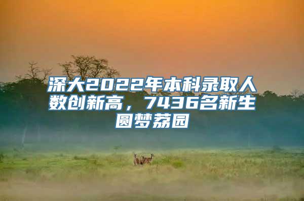 深大2022年本科录取人数创新高，7436名新生圆梦荔园