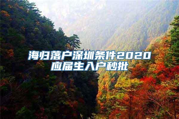 海归落户深圳条件2020应届生入户秒批