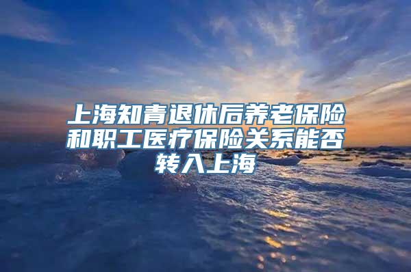 上海知青退休后养老保险和职工医疗保险关系能否转入上海