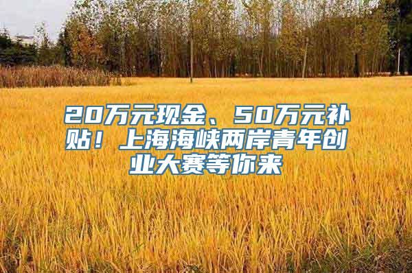 20万元现金、50万元补贴！上海海峡两岸青年创业大赛等你来