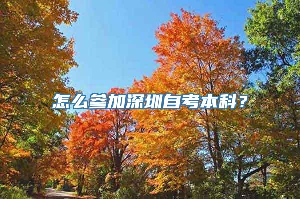 怎么参加深圳自考本科？