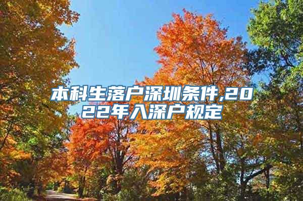 本科生落户深圳条件,2022年入深户规定