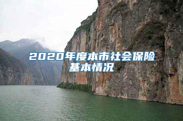 2020年度本市社会保险基本情况