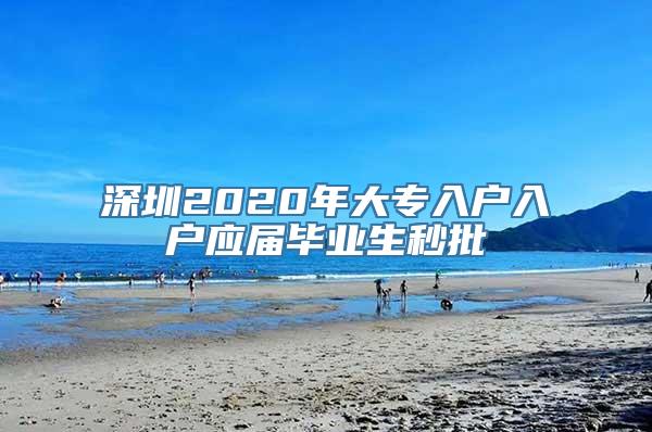 深圳2020年大专入户入户应届毕业生秒批