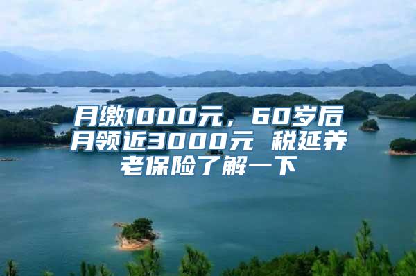 月缴1000元，60岁后月领近3000元 税延养老保险了解一下