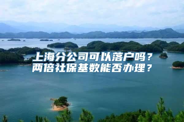 上海分公司可以落户吗？两倍社保基数能否办理？