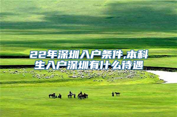 22年深圳入户条件,本科生入户深圳有什么待遇