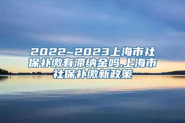 2022~2023上海市社保补缴有滞纳金吗,上海市社保补缴新政策