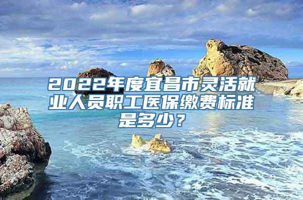 2022年度宜昌市灵活就业人员职工医保缴费标准是多少？