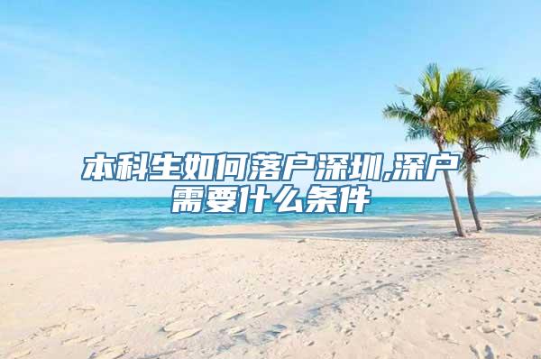 本科生如何落户深圳,深户需要什么条件