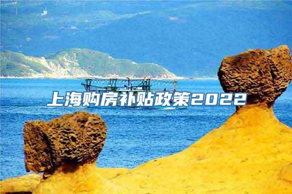 上海购房补贴政策2022