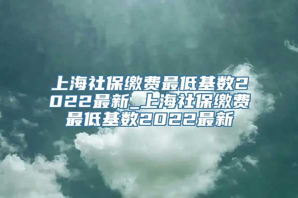 上海社保缴费最低基数2022最新_上海社保缴费最低基数2022最新