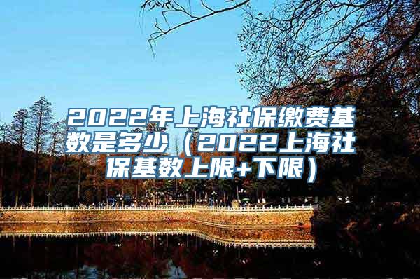 2022年上海社保缴费基数是多少（2022上海社保基数上限+下限）