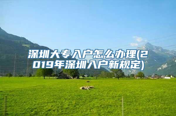 深圳大专入户怎么办理(2019年深圳入户新规定)