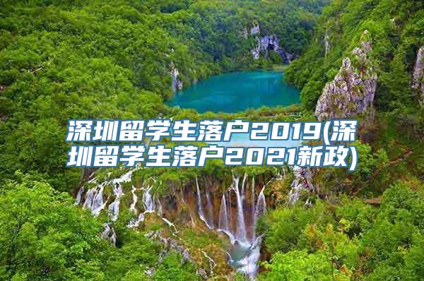 深圳留学生落户2019(深圳留学生落户2021新政)