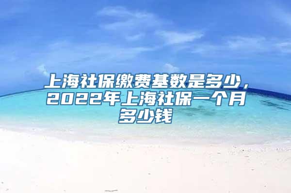 上海社保缴费基数是多少，2022年上海社保一个月多少钱