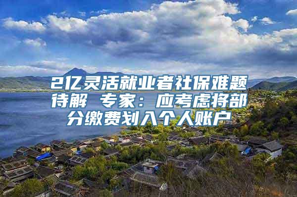 2亿灵活就业者社保难题待解 专家：应考虑将部分缴费划入个人账户