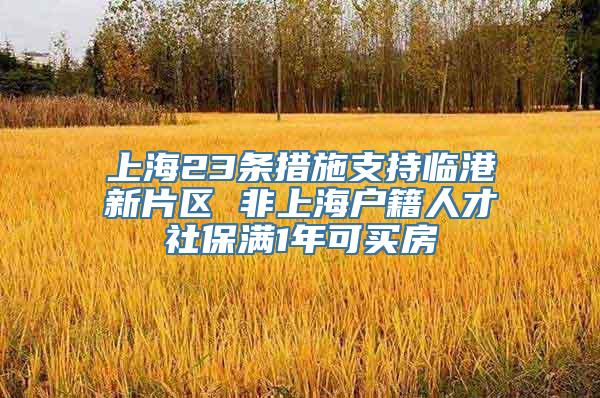 上海23条措施支持临港新片区 非上海户籍人才社保满1年可买房