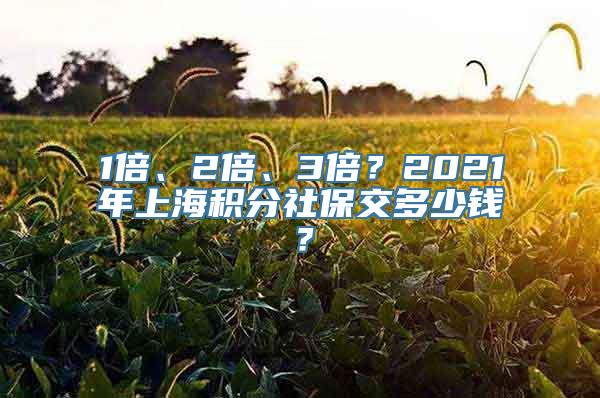 1倍、2倍、3倍？2021年上海积分社保交多少钱？