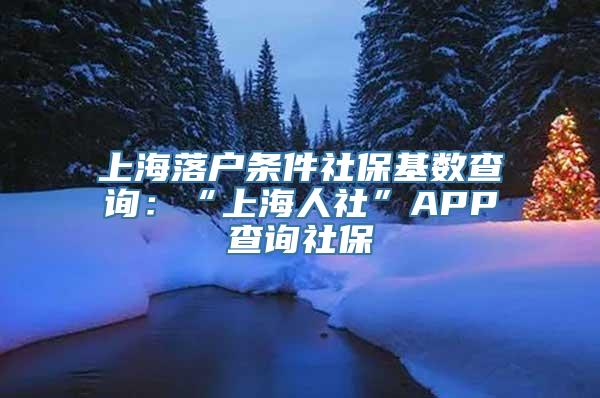 上海落户条件社保基数查询：“上海人社”APP查询社保