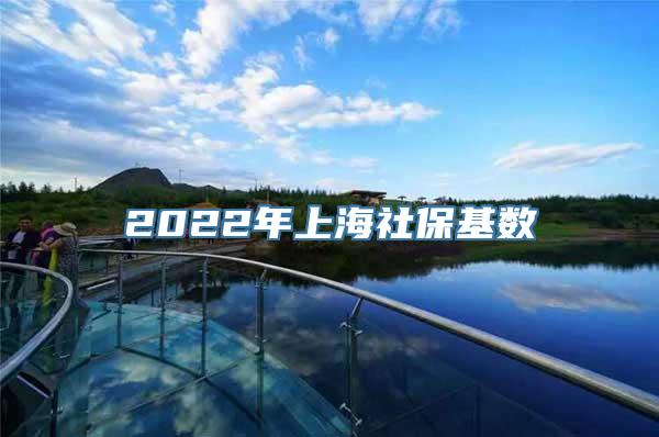 2022年上海社保基数