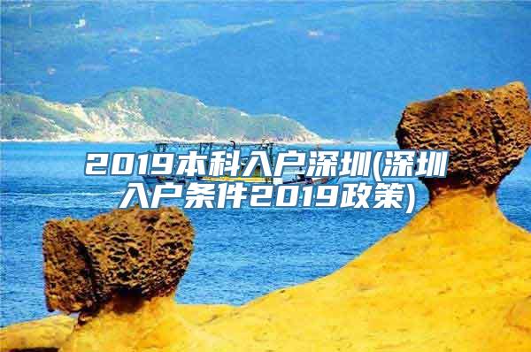 2019本科入户深圳(深圳入户条件2019政策)