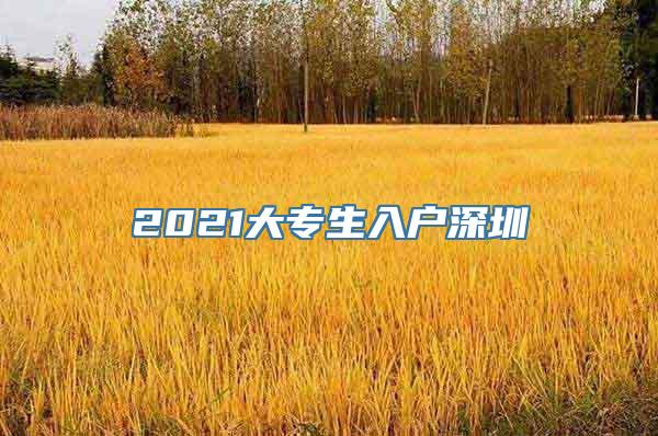 2021大专生入户深圳