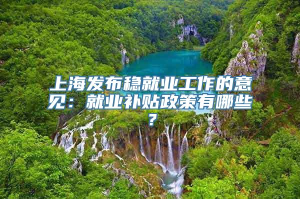 上海发布稳就业工作的意见：就业补贴政策有哪些？