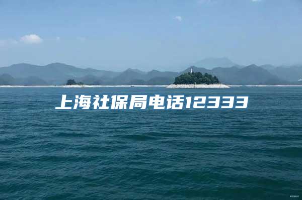 上海社保局电话12333