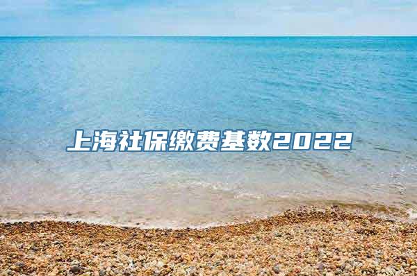 上海社保缴费基数2022