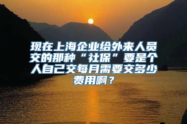 现在上海企业给外来人员交的那种“社保”要是个人自己交每月需要交多少费用啊？