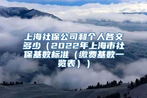 上海社保公司和个人各交多少（2022年上海市社保基数标准（缴费基数一览表））