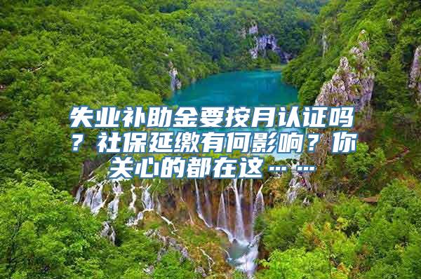 失业补助金要按月认证吗？社保延缴有何影响？你关心的都在这……