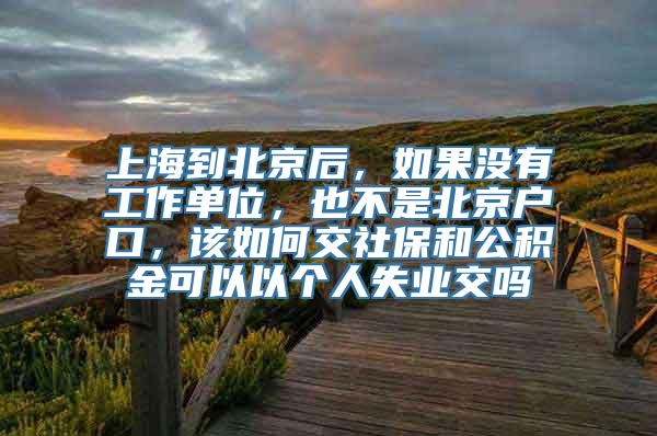 上海到北京后，如果没有工作单位，也不是北京户口，该如何交社保和公积金可以以个人失业交吗