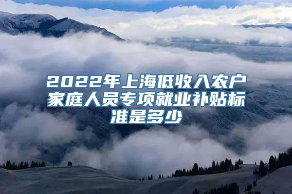 2022年上海低收入农户家庭人员专项就业补贴标准是多少