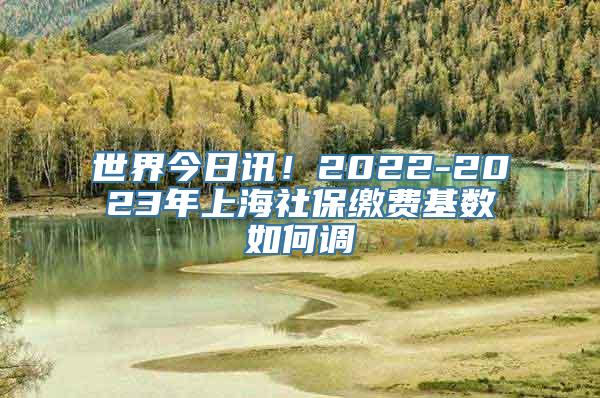 世界今日讯！2022-2023年上海社保缴费基数如何调